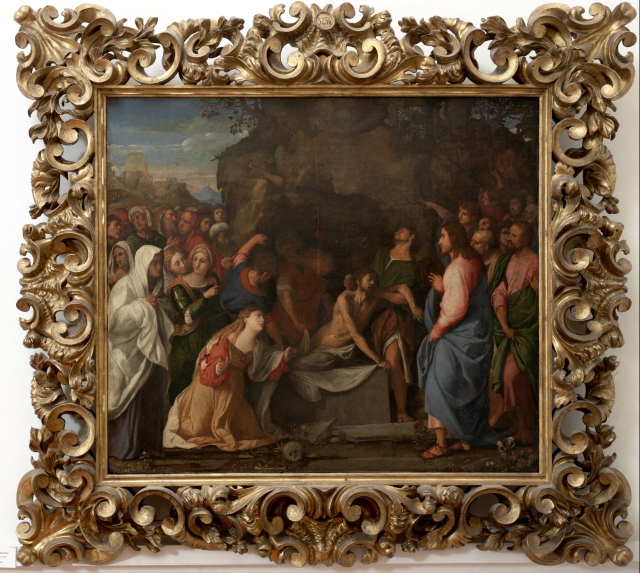 resurrezione di Lazzaro (dipinto) di Negretti Jacopo Antonio detto Palma il Vecchio (sec. XVI)