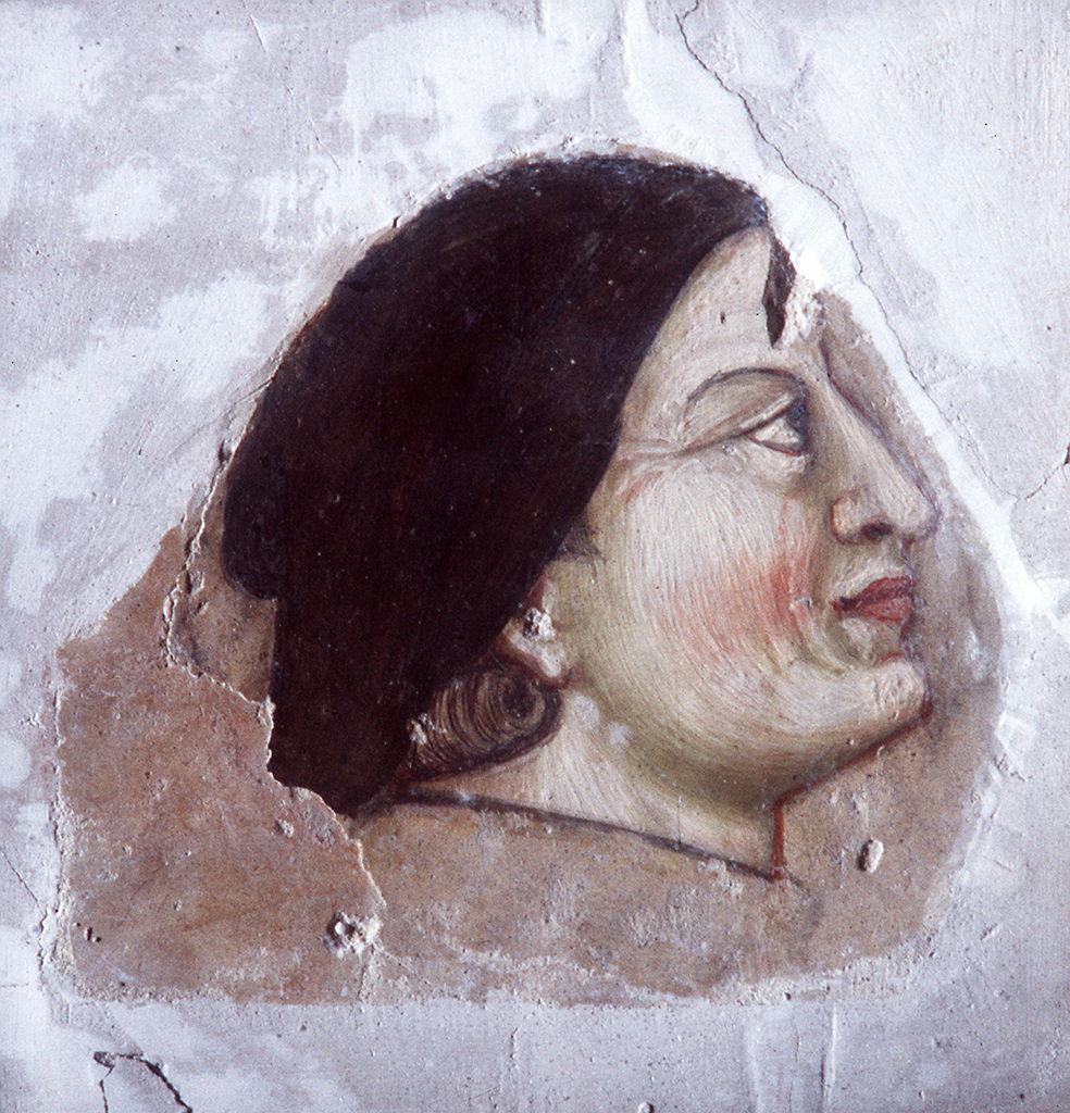 testa d'uomo (dipinto, frammento) di Giotto (e aiuti) (sec. XIV)