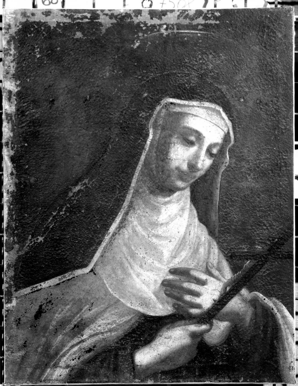 Santa domenicana (dipinto) di Lippi Dinozzo (sec. XVIII)