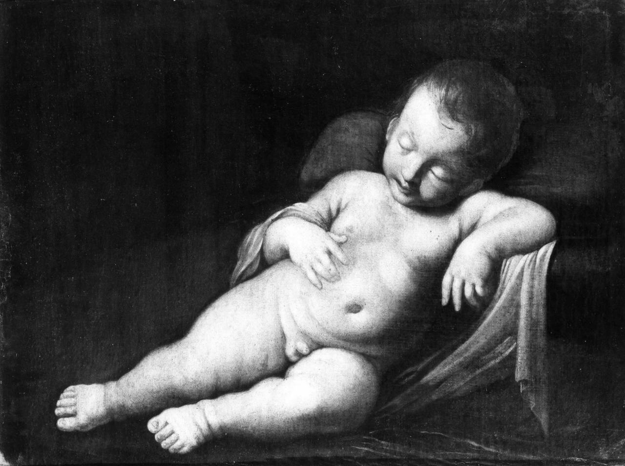Amore dormiente (dipinto) di Sirani Elisabetta (attribuito) (sec. XVII)