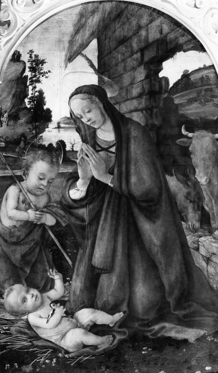Madonna in adorazione del Bambino e San Giovanni Battista bambino (dipinto) di Lippi Filippino (attribuito) (sec. XV)