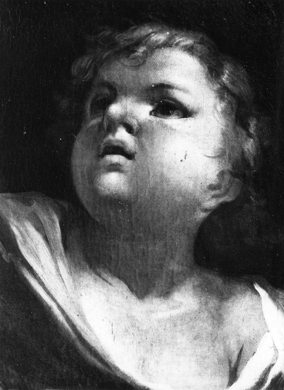 testa di bambino (dipinto) - ambito italiano (secc. XVII/ XVIII)