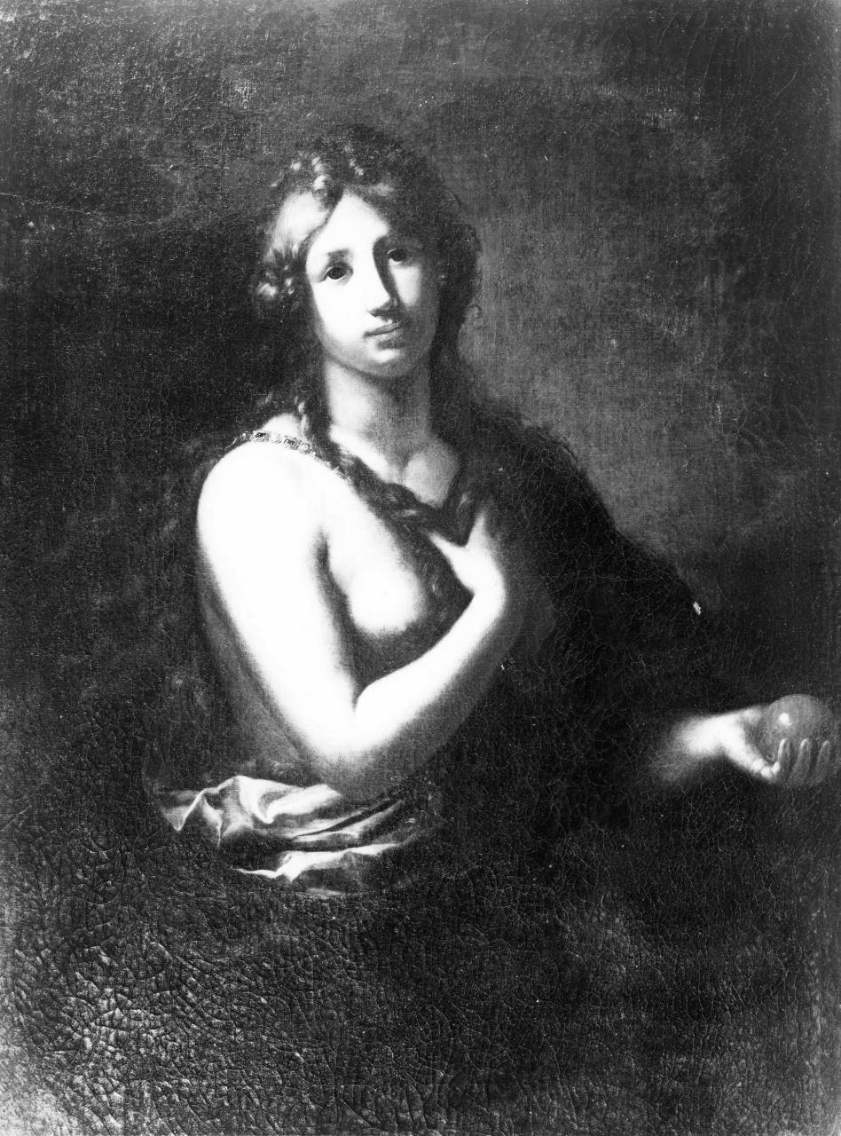 Venere (dipinto) di Marinari Onorio (sec. XVII)