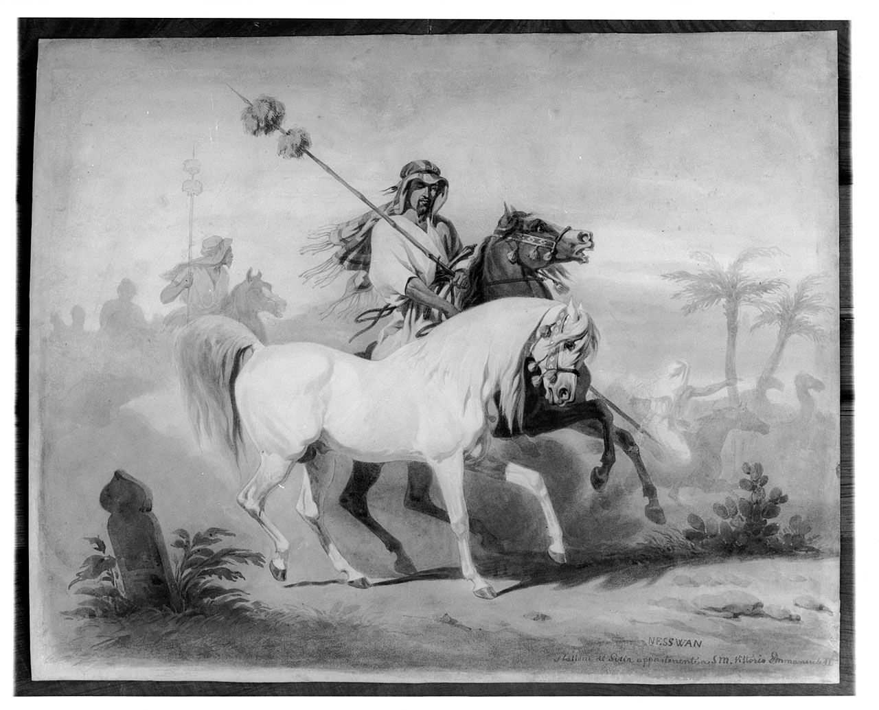 cavallo (stampa colorata a mano) di Grimaldi Stanislao (sec. XIX)