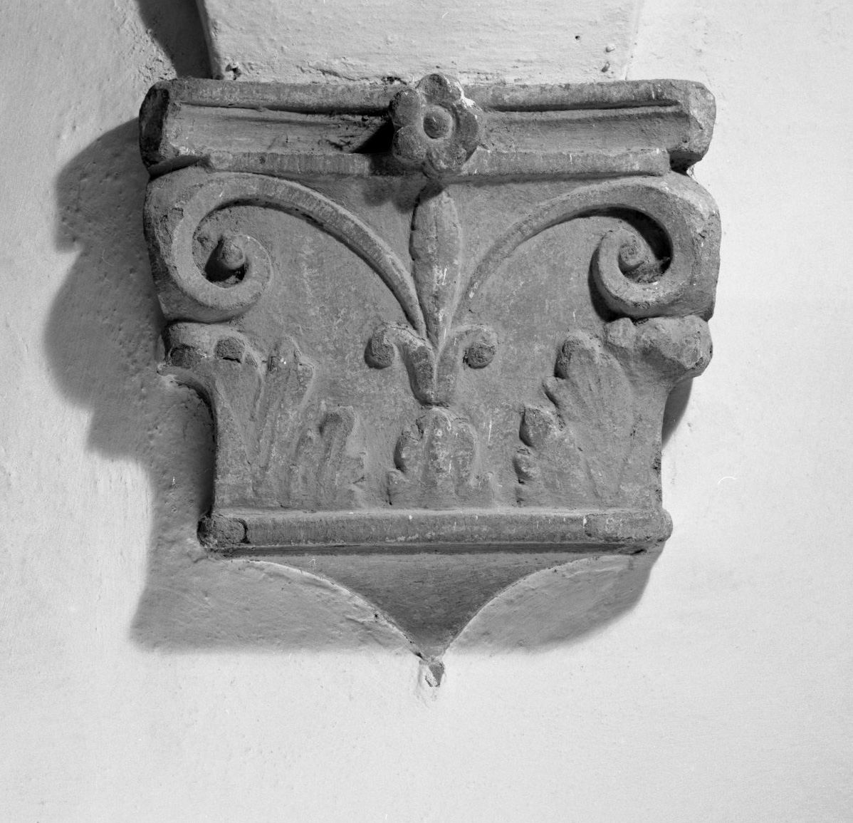 motivi decorativi vegetali (peduccio) - bottega toscana (ultimo quarto sec. XV)