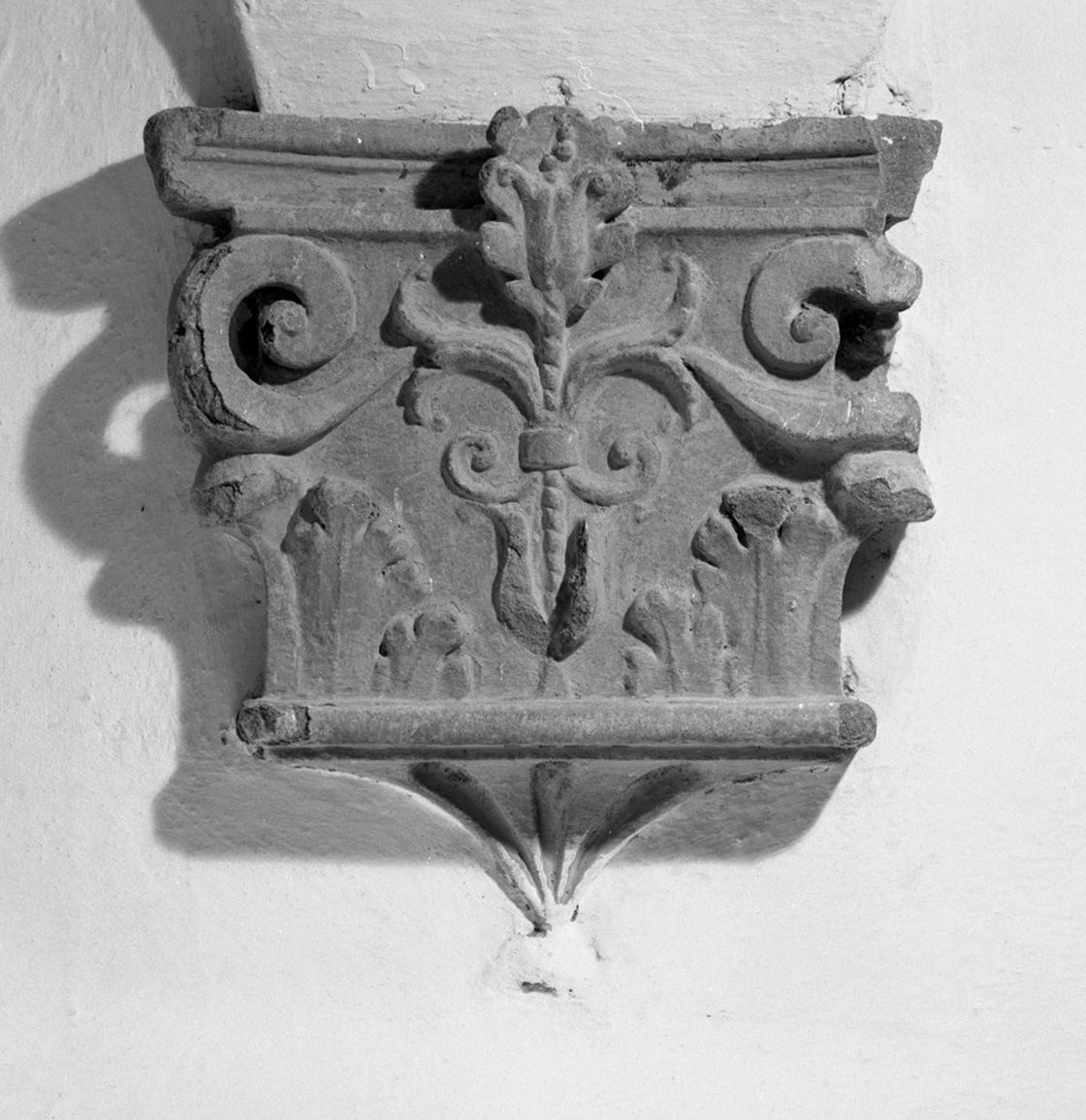 motivi decorativi vegetali (peduccio) - bottega toscana (ultimo quarto sec. XV)