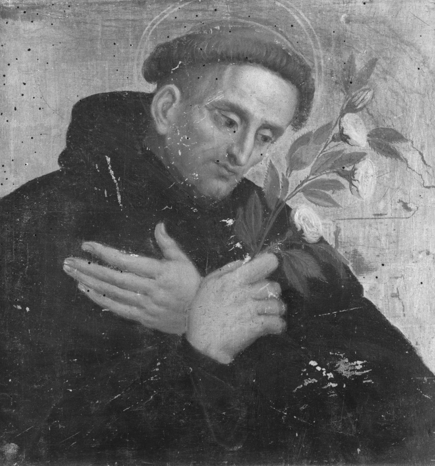 beato Gioacchino Piccolomini (dipinto, elemento d'insieme) di Pacchiarotti Giacomo (attribuito) (prima metà sec. XVI)