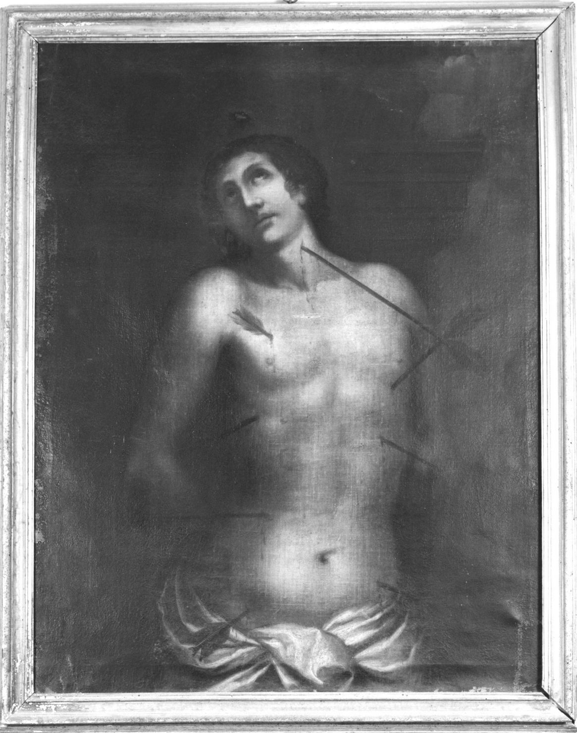 San Sebastiano (dipinto, opera isolata) di Fantastici Giuseppe (attribuito) (prima metà sec. XVIII)