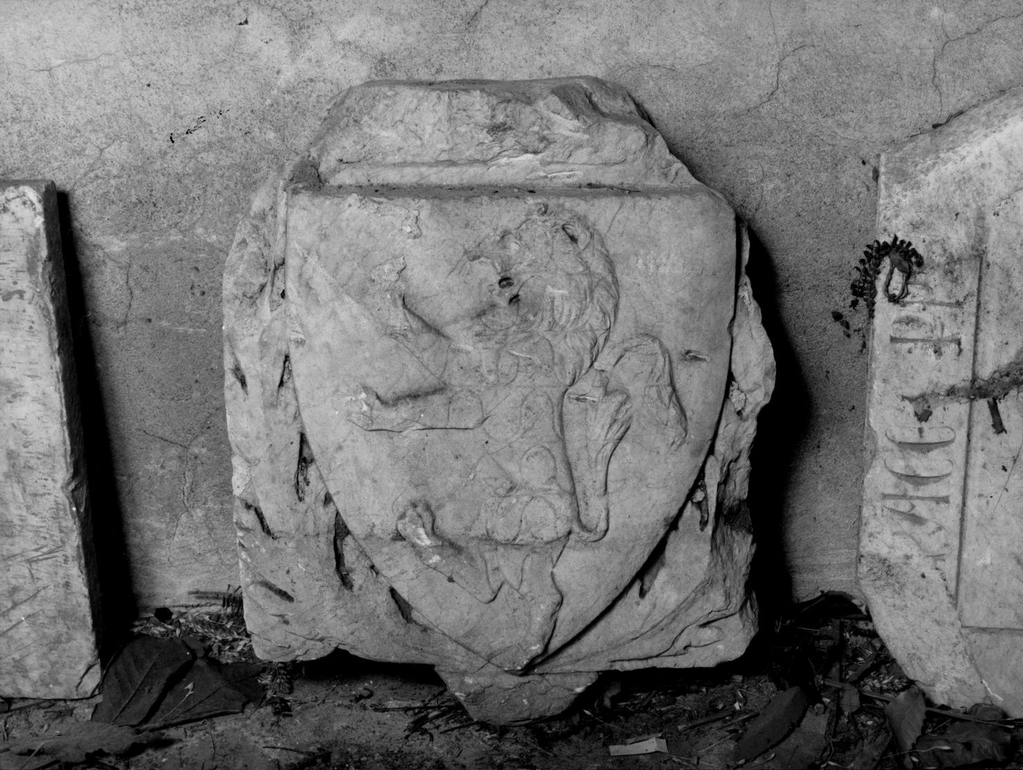 rilievo, frammento - bottega senese (prima metà sec. XVI)