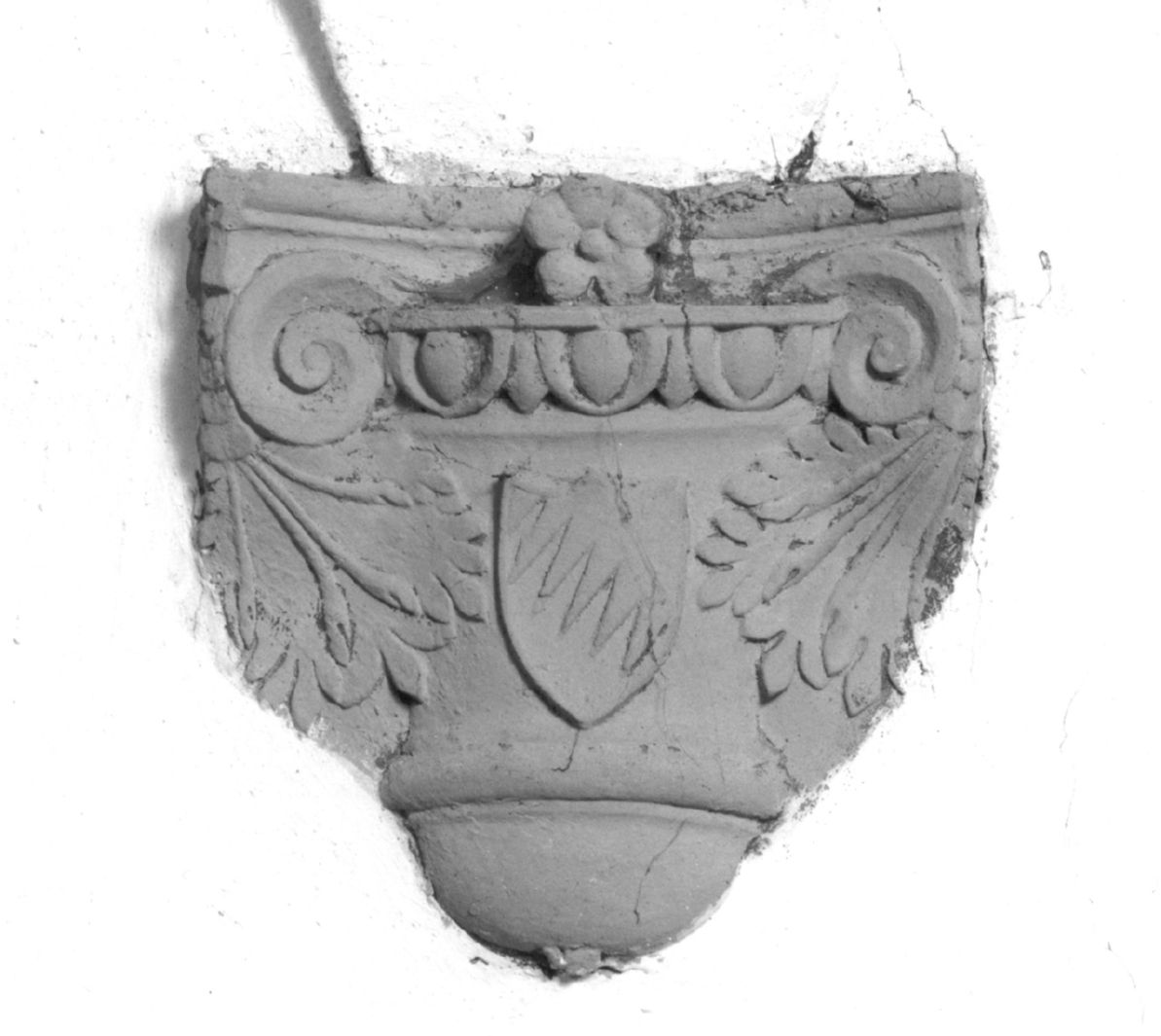 stemma gentilizio della famiglia Petrucci (peduccio, serie) - bottega toscana (prima metà sec. XVI)