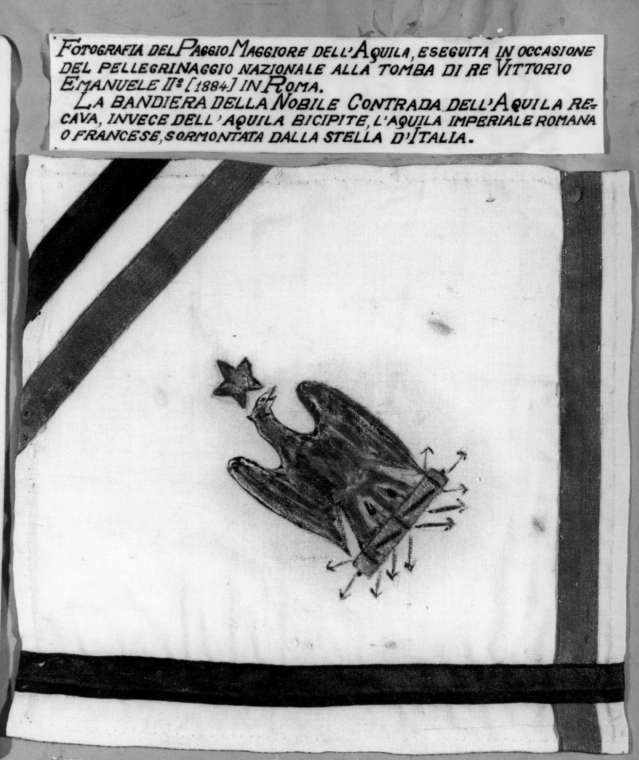 bandiera della Nobile contrada dell'Aquila (dipinto) - ambito senese (sec. XIX)