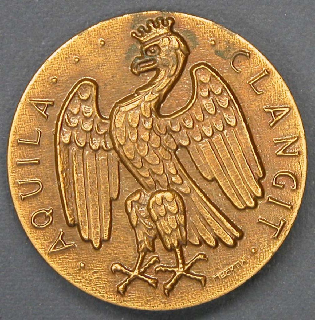 Diritto: Aquila con iscrizione; Rovescio: Docente in cattedra co allievi, attorno iscrizione (medaglia) di Bertini M (sec. XX)
