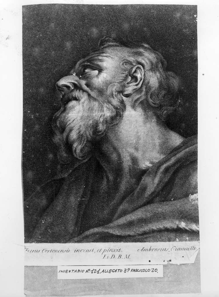 testa di vecchio (stampa) di Giannetti A, Berrettini Pietro detto Pietro da Cortona (sec. XIX)