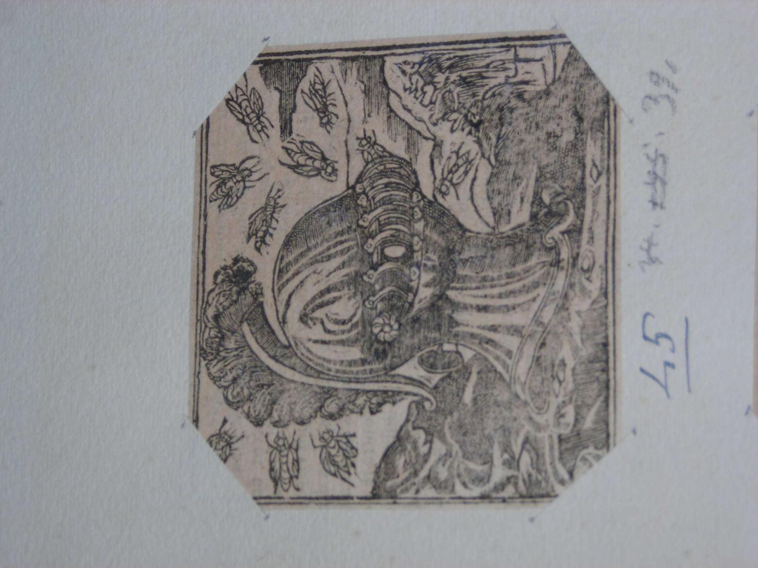 stemma (stampa) - ambito europeo (sec. XVII)