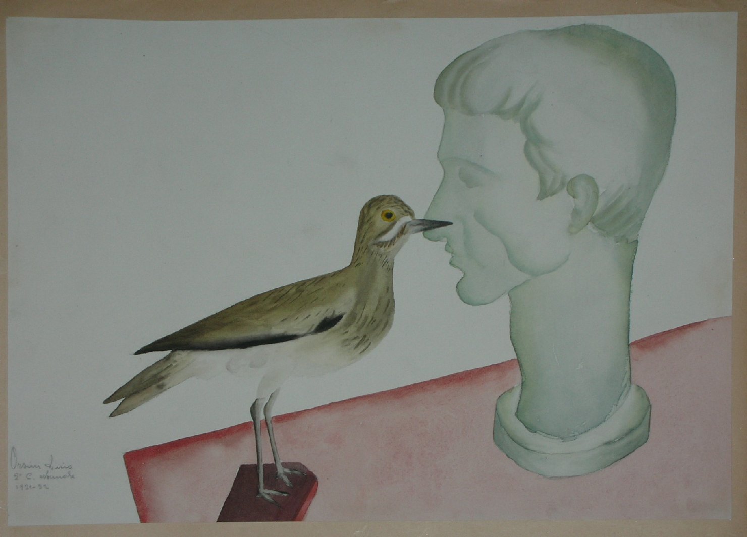 natura morta (disegno, opera isolata) - ambito pisano (sec. XX)