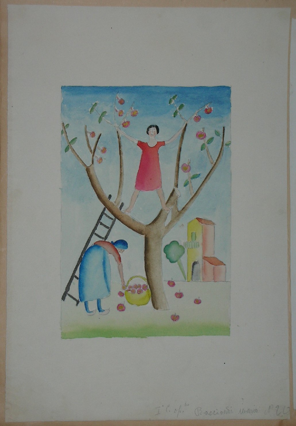 raccolta della frutta (disegno, opera isolata) - ambito pisano (sec. XX)