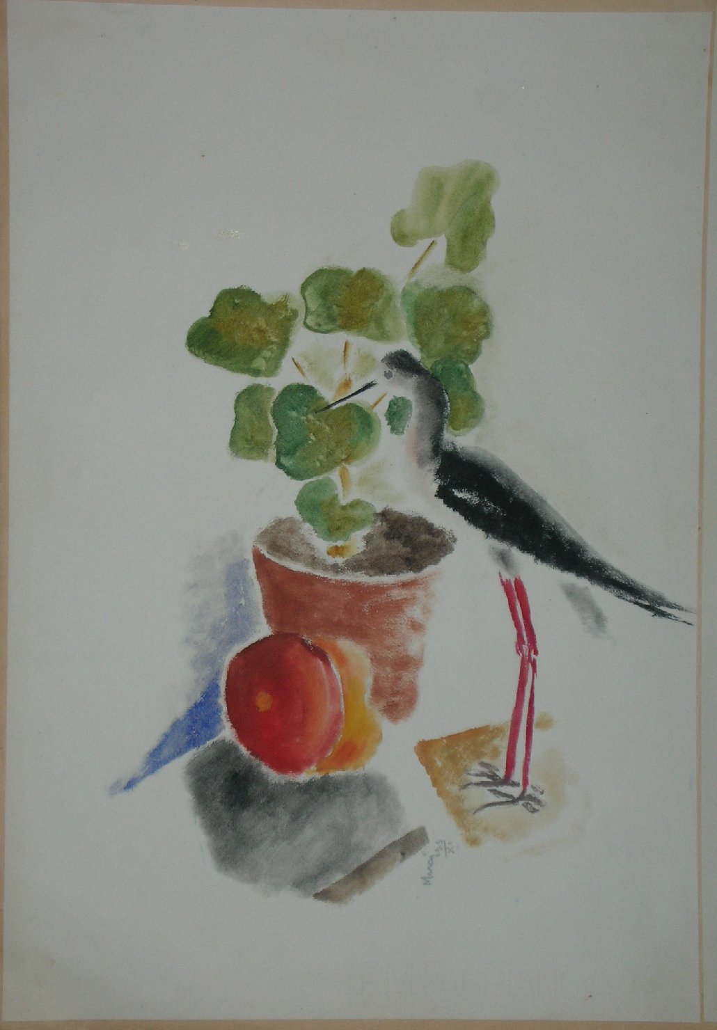 uccello, frutto e pianta (disegno, opera isolata) - ambito pisano (sec. XX)