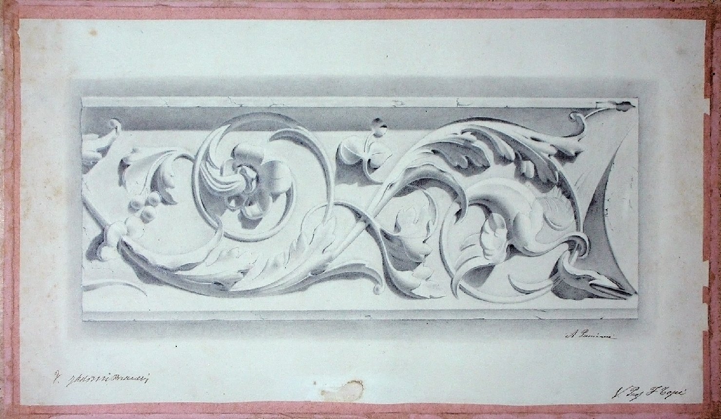 Studio di calco in gesso con motivo decorativo a rialzo (disegno) - ambito pisano (secc. XIX/ XX)