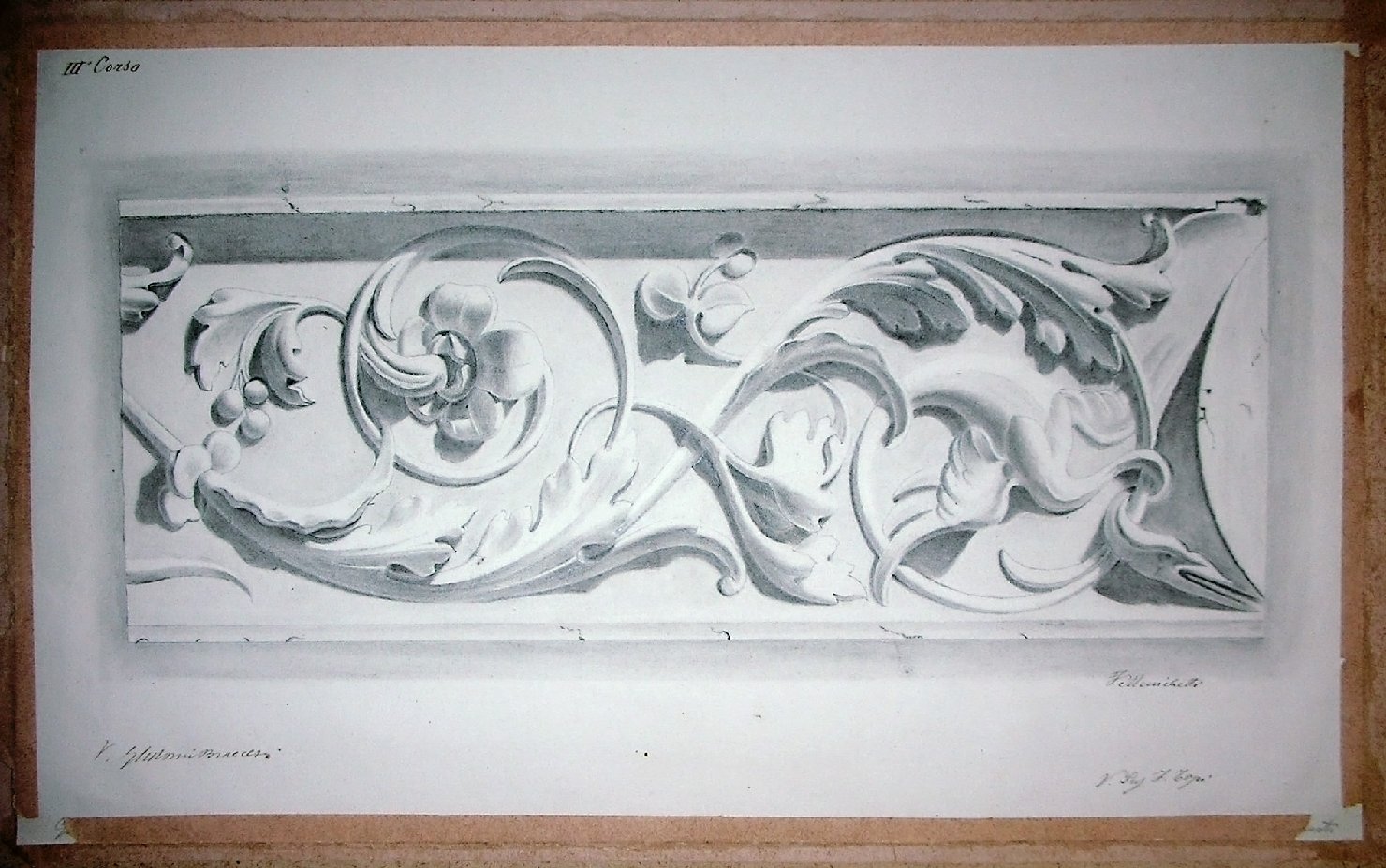 Studio di calco in gesso raffigurante motivo vegetale a rilievo (disegno) - ambito pisano (secc. XIX/ XX)