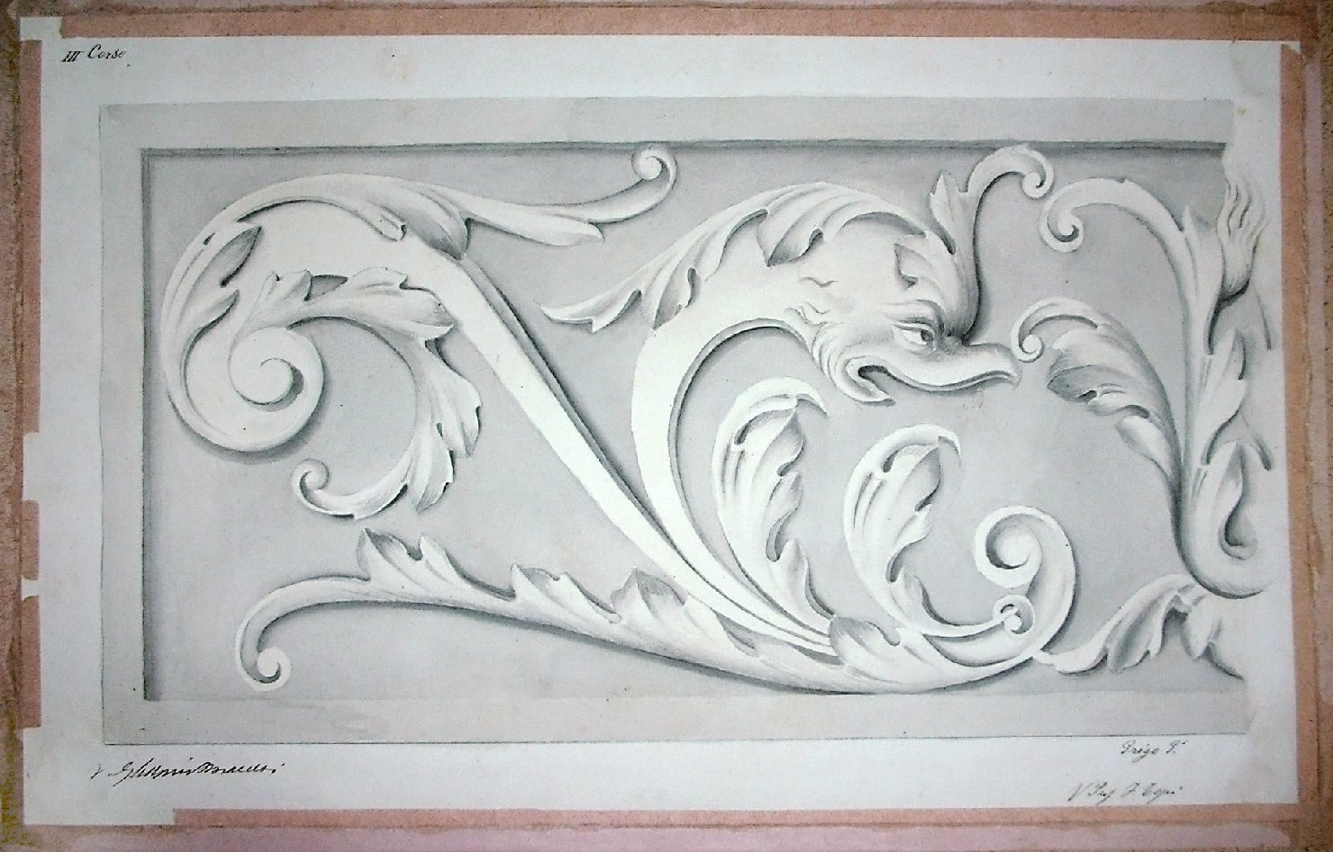Studio di calco in gesso raffigurante motivo vegetale e zoomorfo a rilievo (disegno) - ambito pisano (secc. XIX/ XX)