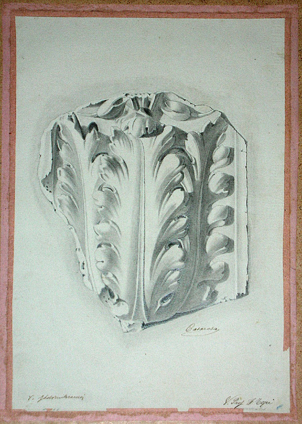 Studio di un calco in gesso raffigurante motivo decorativo a foglie d'acanto (disegno) - ambito pisano (secc. XIX/ XX)