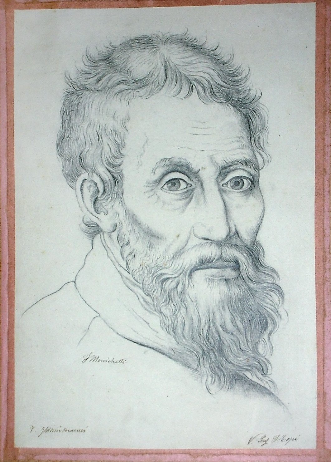 testa d'uomo con barba (disegno) - ambito pisano (secc. XIX/ XX)