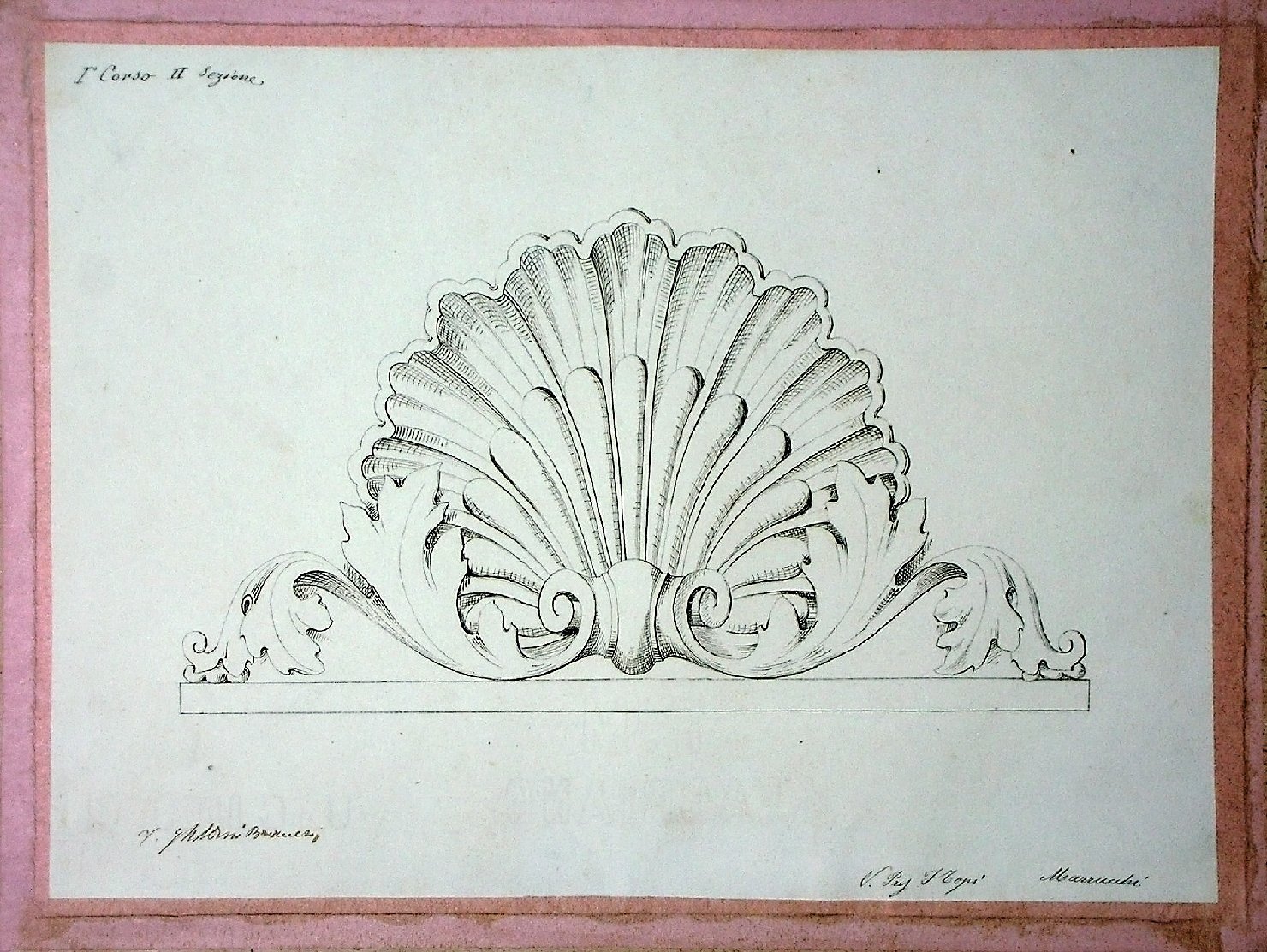 motivo decorativo vegetale (disegno) - ambito pisano (secc. XIX/ XX)
