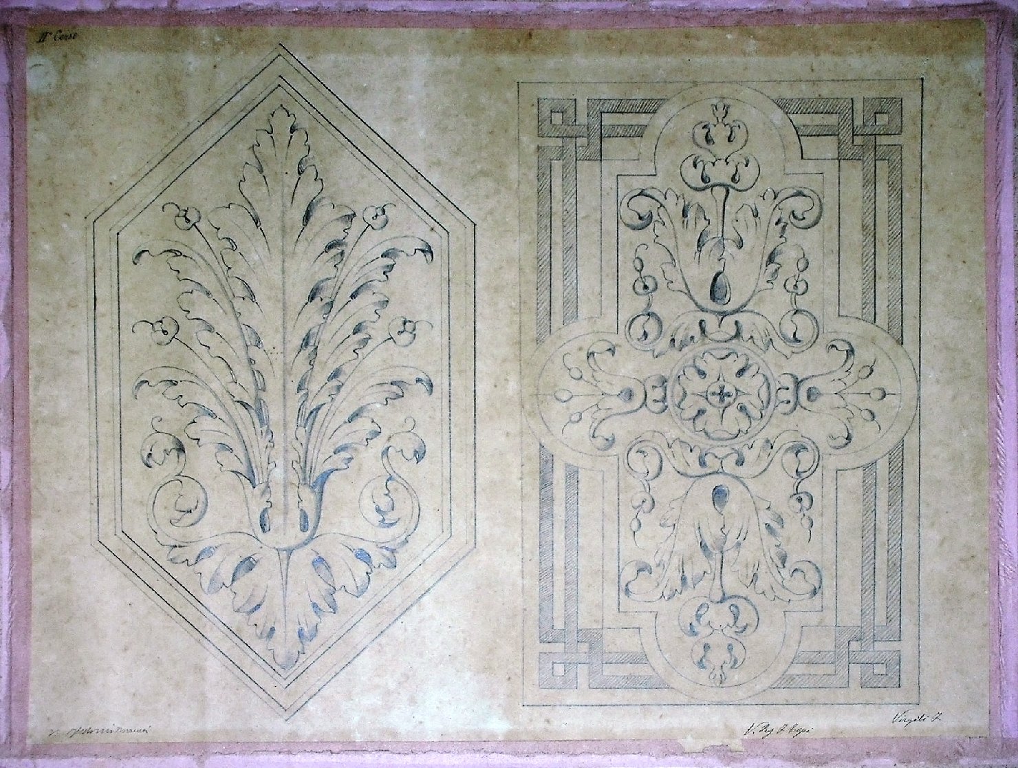 Motivi decorativi vegetali (disegno) - ambito pisano (secc. XIX/ XX)