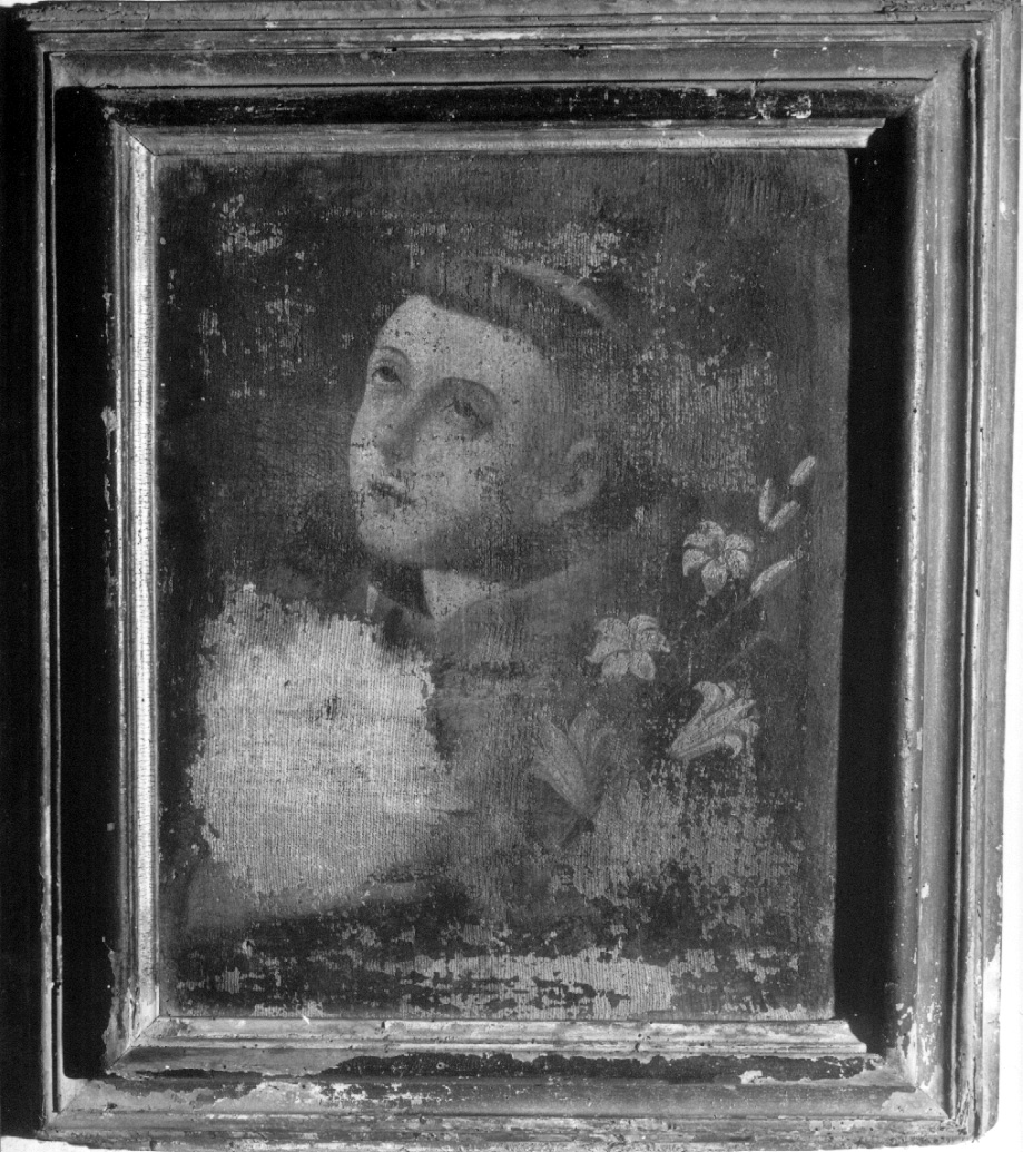 Sant'Antonio da Padova (dipinto, opera isolata) - ambito umbro-laziale (sec. XVIII)
