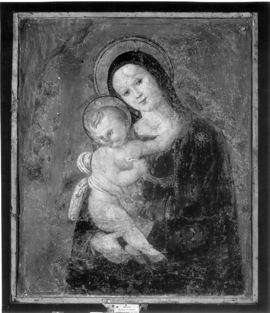 Madonna con Bambino (dipinto, opera isolata) di Tiberio d'Assisi (attribuito) (prima metà sec. XVI)