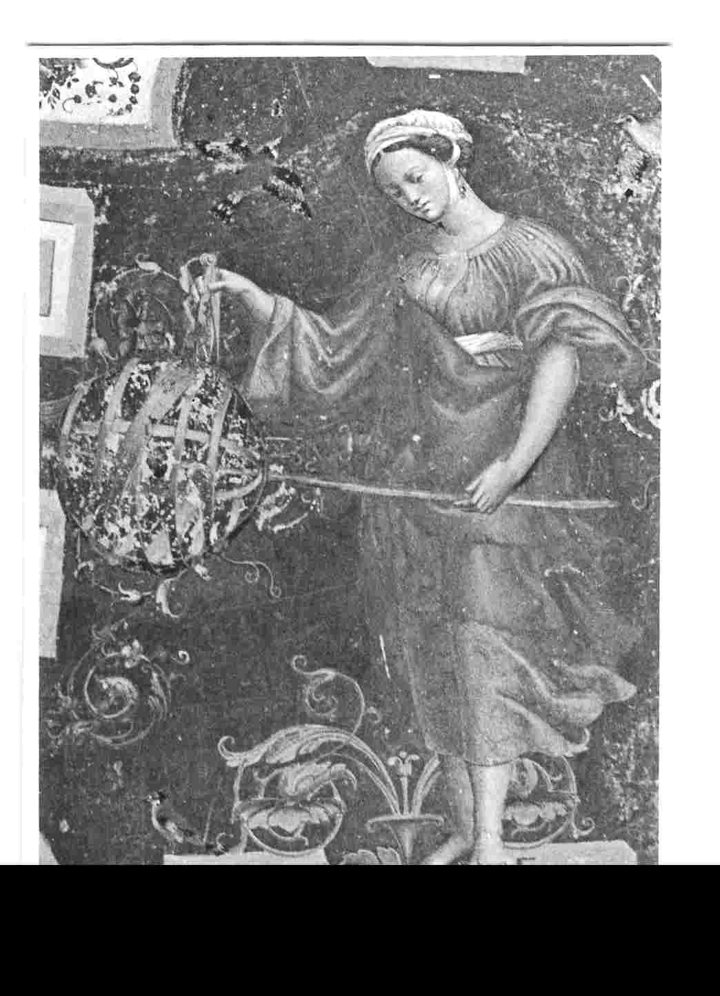 Urania (dipinto, elemento d'insieme) di Filotesio Nicola detto Cola dell'Amatrice (attribuito) (prima metà sec. XVI)
