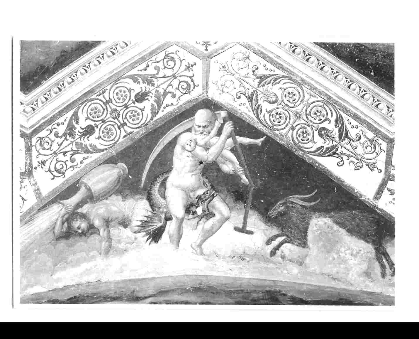 Saturno (dipinto, elemento d'insieme) di Filotesio Nicola detto Cola dell'Amatrice (attribuito) (sec. XVI)