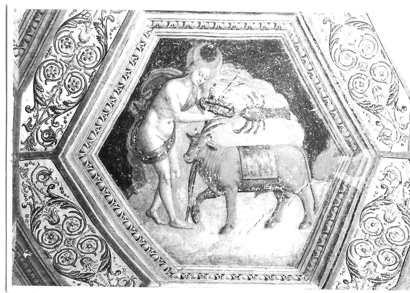 la Luna (dipinto, elemento d'insieme) di Filotesio Nicola detto Cola dell'Amatrice (attribuito) (sec. XVI)
