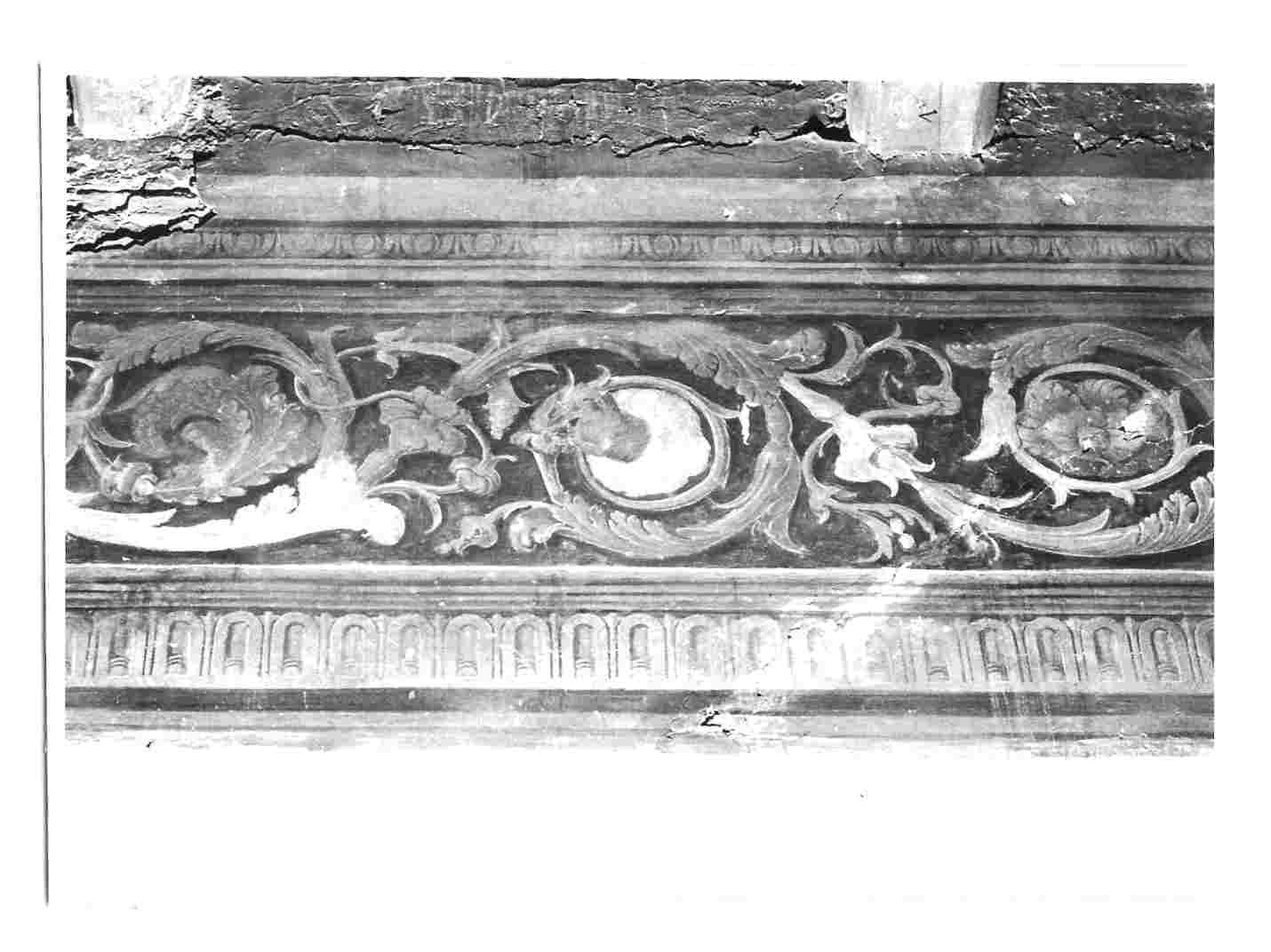 fregio (dipinto, opera isolata) di Filotesio Nicola detto Cola dell'Amatrice (attribuito) (prima metà sec. XVI)