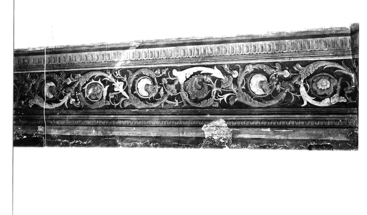 fregio (dipinto, opera isolata) di Filotesio Nicola detto Cola dell'Amatrice (attribuito) (prima metà sec. XVI)