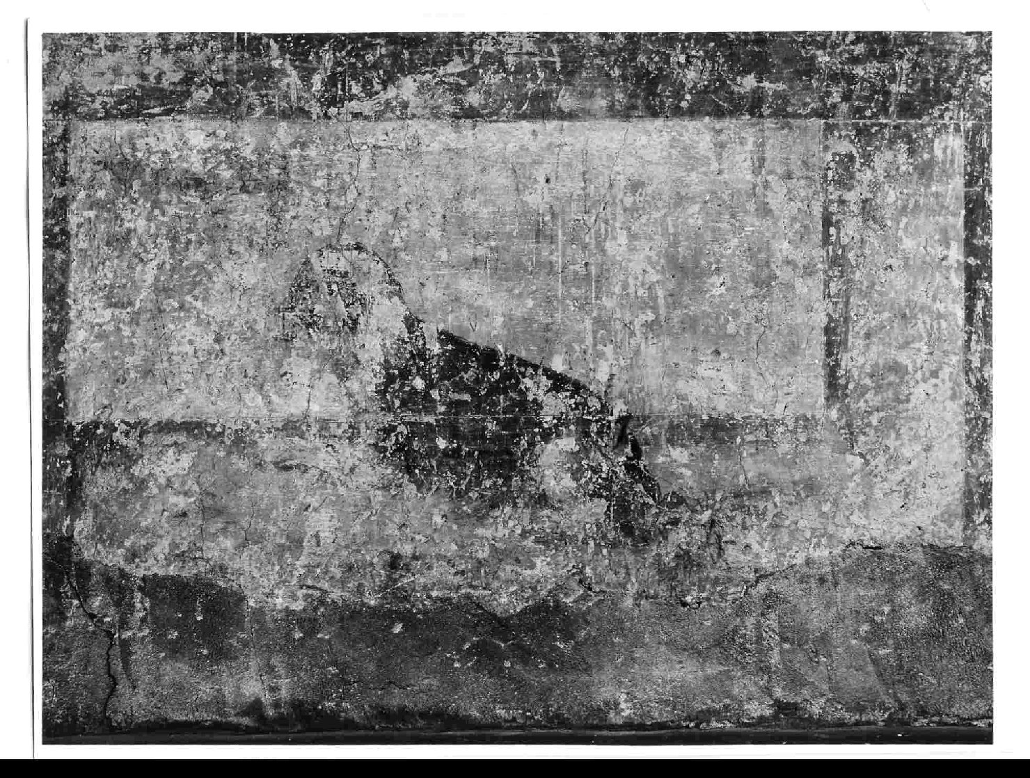 cane (dipinto, elemento d'insieme) di Gherardi Cristoforo (e aiuti) (sec. XVI)