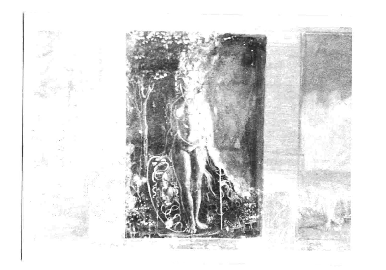 Minerva (dipinto, elemento d'insieme) di Filotesio Nicola detto Cola dell'Amatrice (bottega) (prima metà sec. XVI)