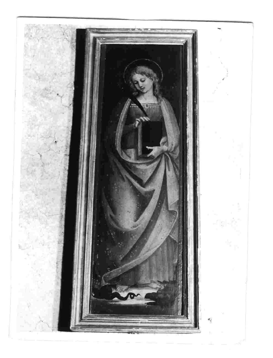 Santa Margherita (dipinto, opera isolata) di Signorelli Luca (bottega) (fine/inizio secc. XV/ XVI)