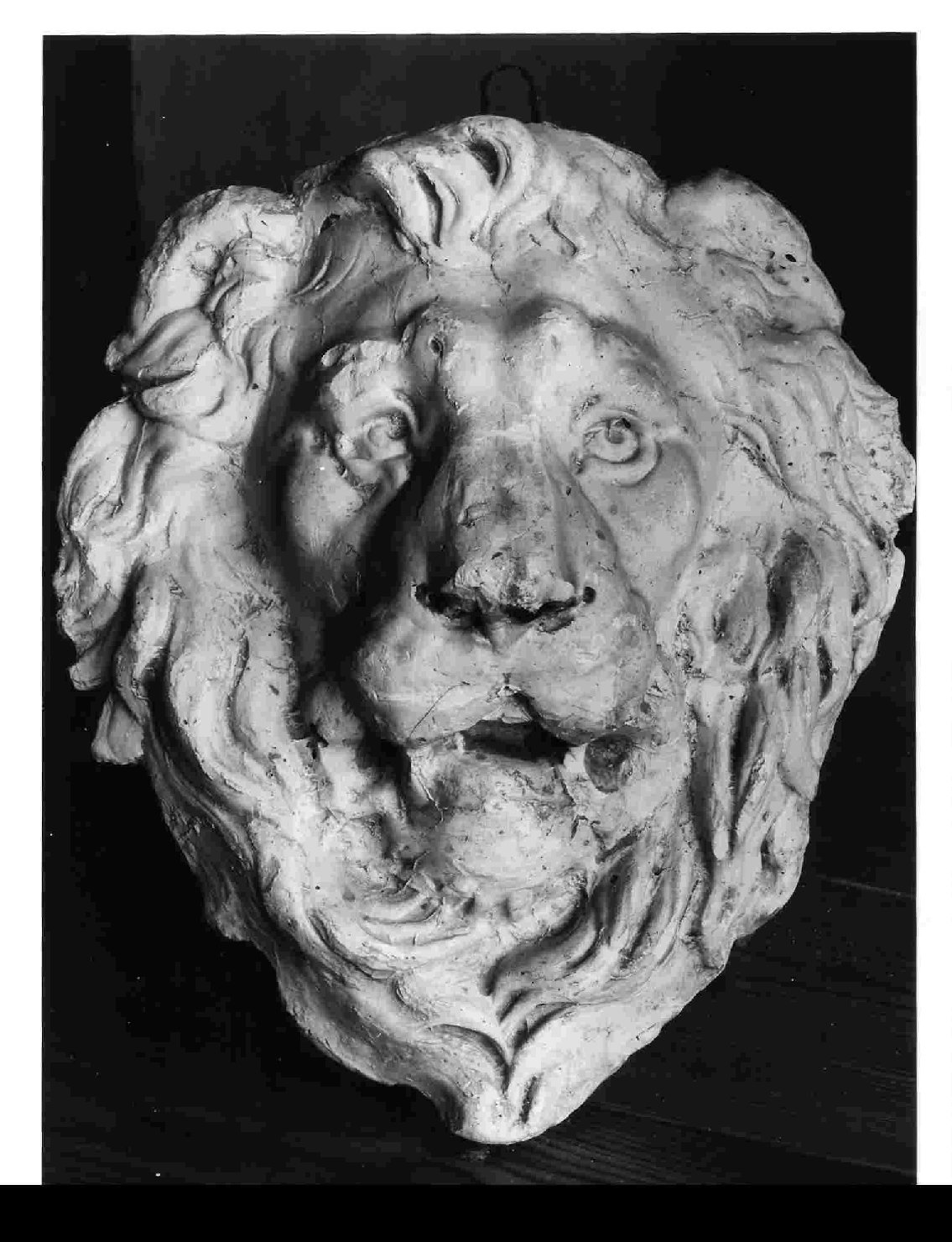 protome leonina (rilievo, opera isolata) di Palazzi Elmo (inizio sec. XX)