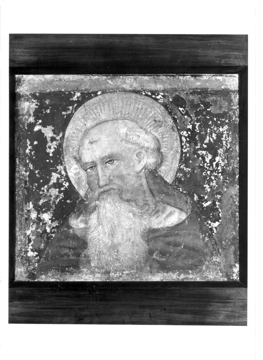Sant'Antonio Abate (dipinto, frammento) - ambito umbro (prima metà sec. XV)