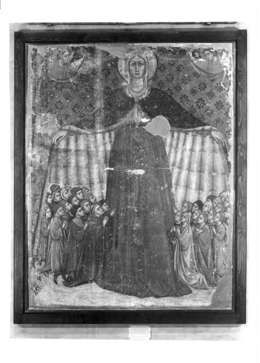 Madonna della Misericordia (dipinto) di Mazzaforte Giovanni di Corraduccio (sec. XV)