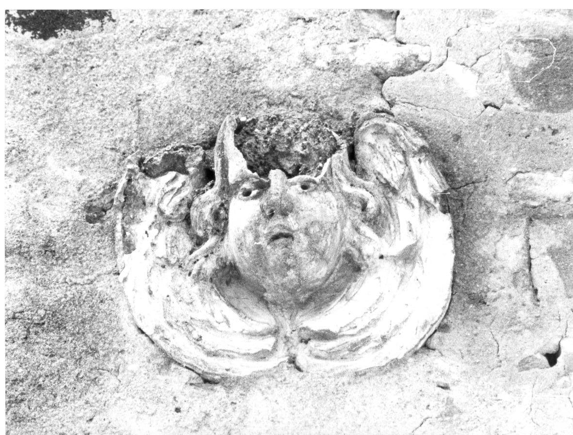 cherubino (rilievo, frammento) - bottega italiana (sec. XVII)