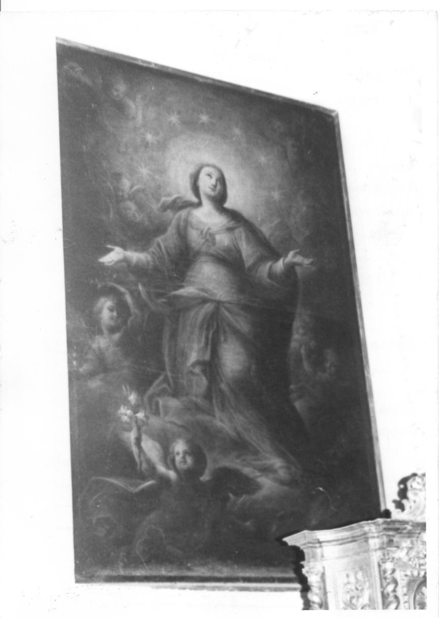 Madonna Assunta con angeli (dipinto) di Appiani Francesco (sec. XVIII)