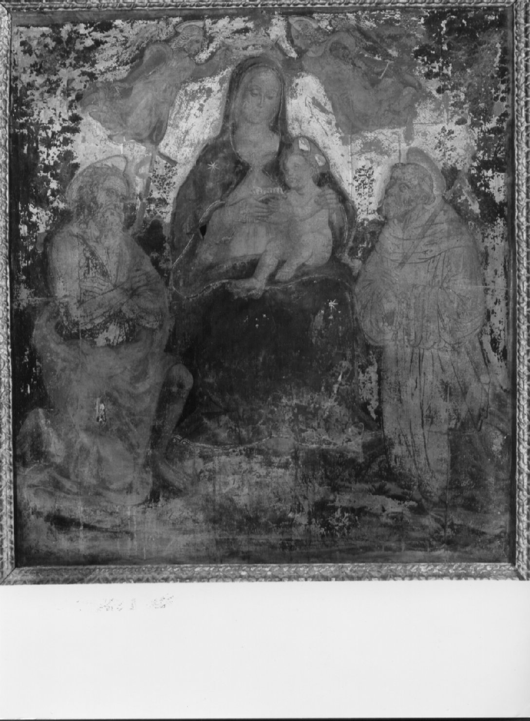Madonna con Bambino e Santi (pala d'altare, elemento d'insieme) - ambito umbro (prima metà sec. XVI)