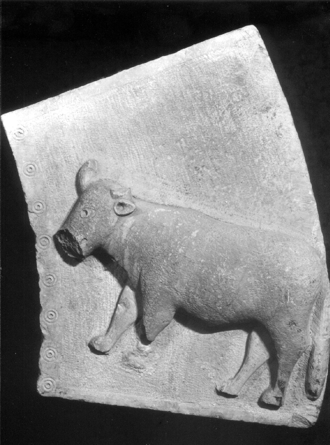 toro (scultura, opera isolata) - bottega umbra (sec. XIII)