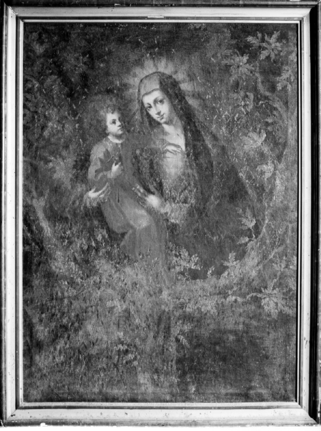 Madonna della quercia, Madonna con Bambino (dipinto, opera isolata) - ambito umbro (seconda metà sec. XVIII)