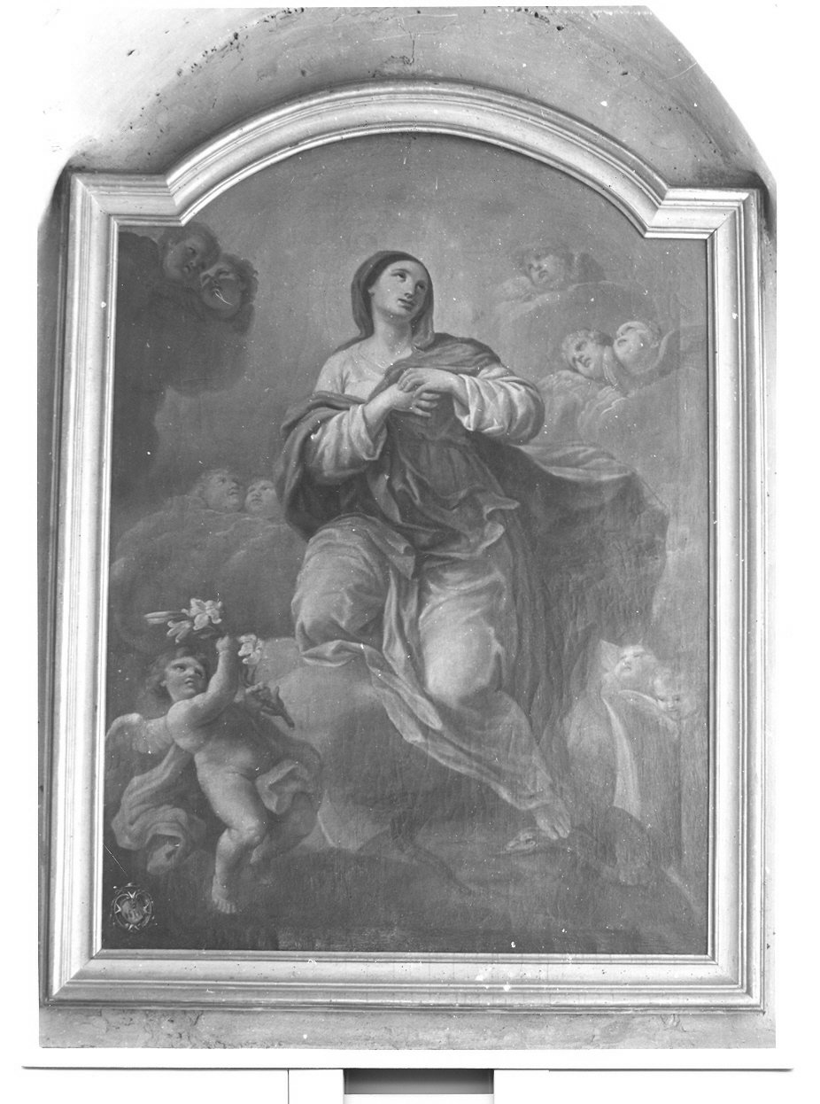 Immacolata Concezione (dipinto, opera isolata) di Monotti Vincenzo (attribuito) (seconda metà sec. XVIII)