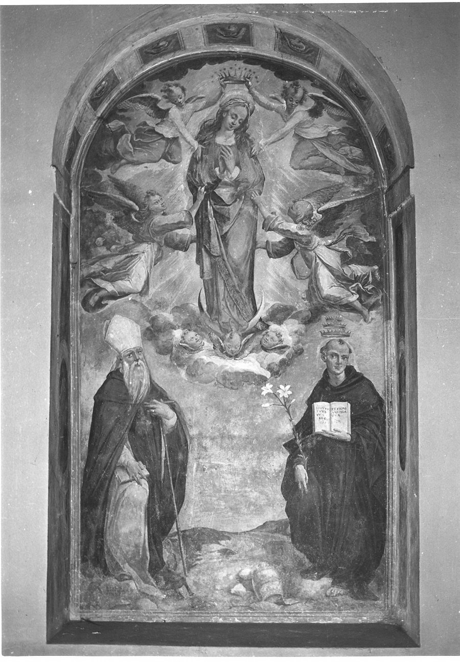 Madonna Immacolata e Santi (dipinto, opera isolata) di Pecennini Scilla (attribuito) (sec. XVI)