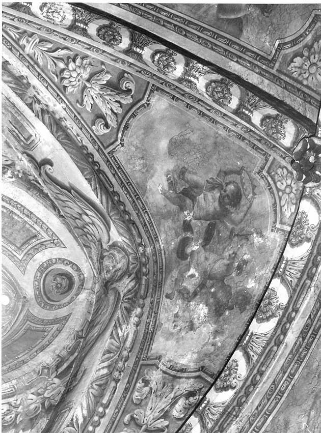 putti reggicorona (dipinto, elemento d'insieme) - ambito Italia centrale (sec. XVIII)