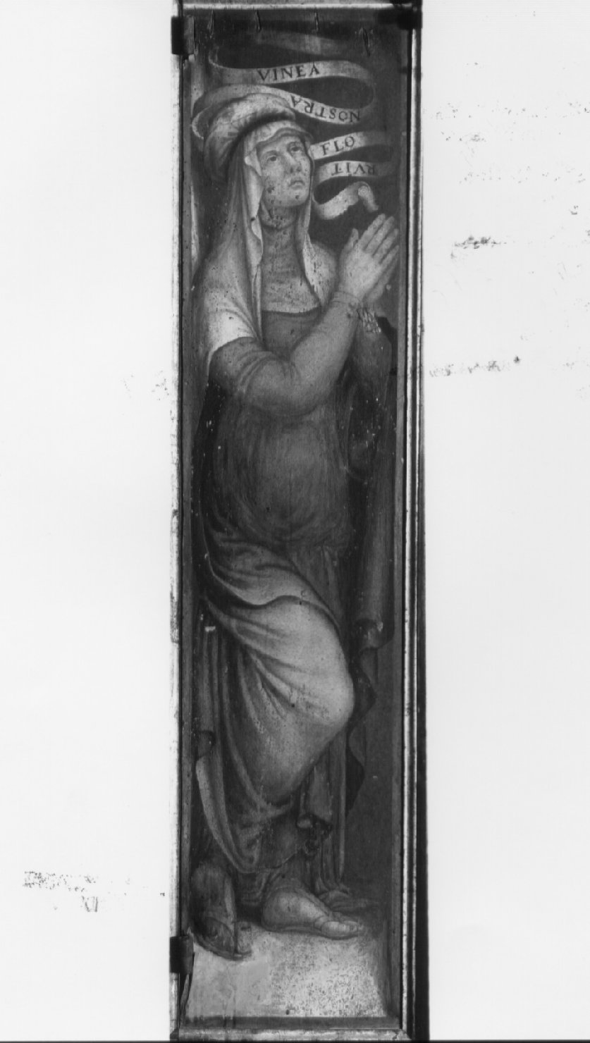 Sibilla (dipinto, insieme) di Nardini Francesco detto Santagnolo (attribuito) (metà sec. XVI)